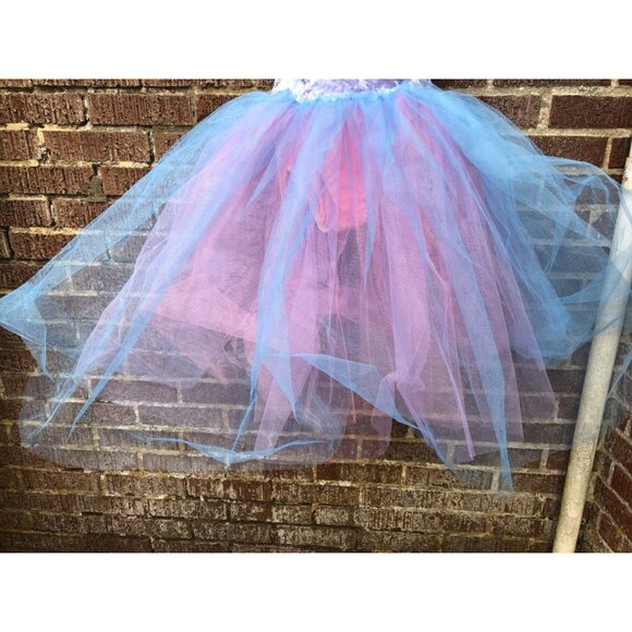 Curtain Call Dance Costume Ballet Tutu Size AME Adult Medium Pink Blue Roses - Picture 2 of 8
